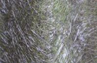 Mead End fibreglass roof work